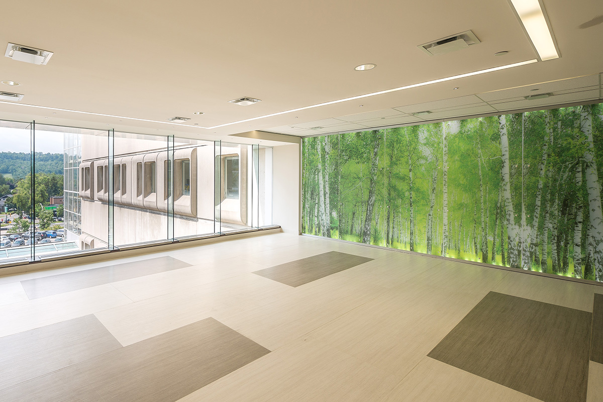 Boris Clinic Interior