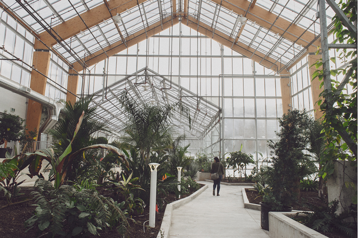 Gage Park Greenhouse Interior